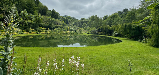 Lur Garden from the NZAGS Bulletin