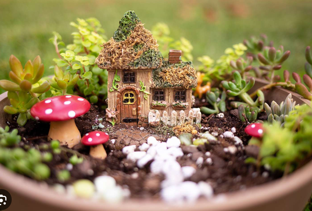 Fairy Garden Plants