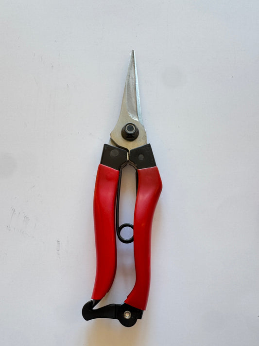 Takagi Japanese Secateurs
