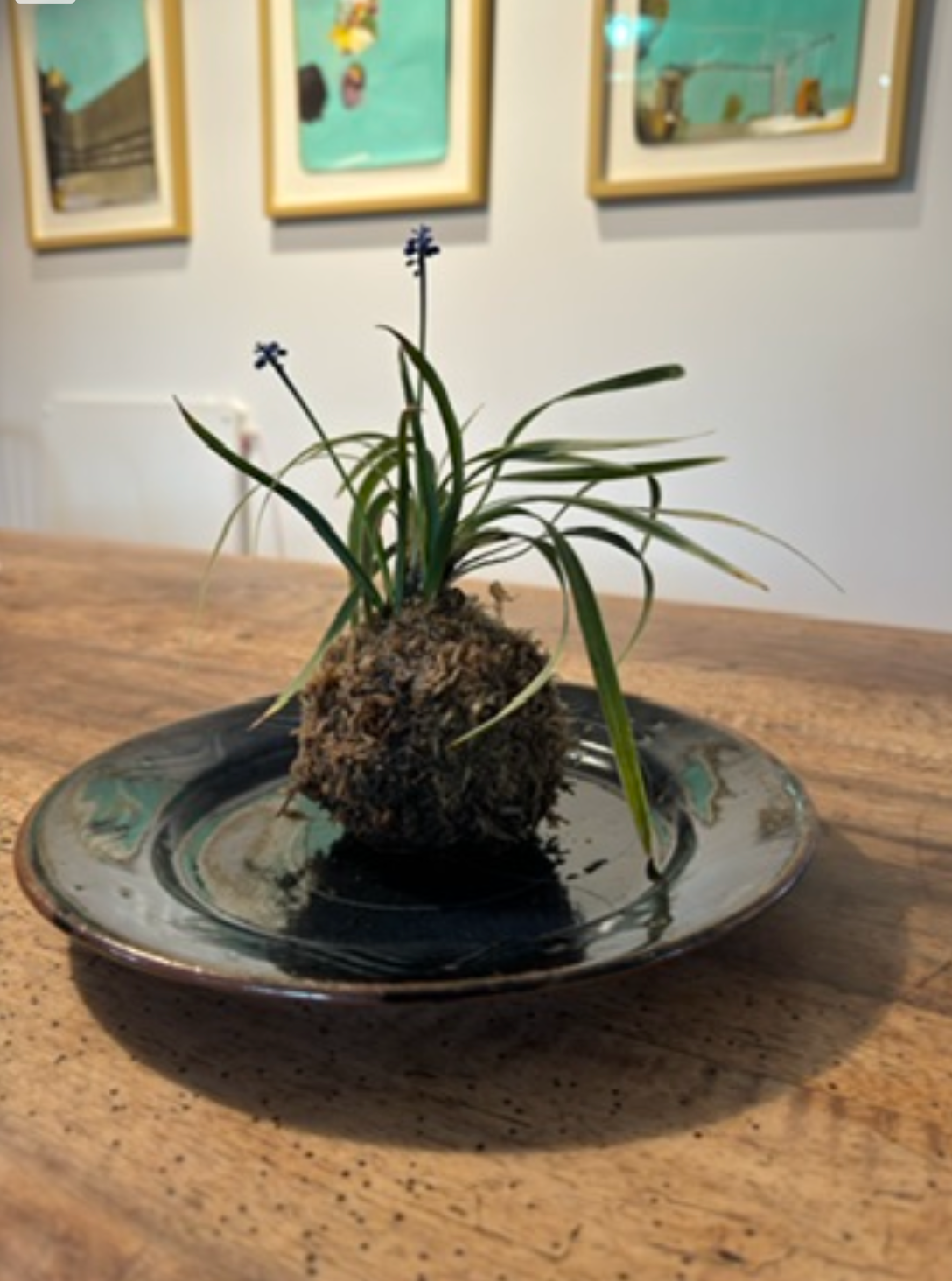 Kokedama; make three for presents, Japanese Lunch, Garden Tour