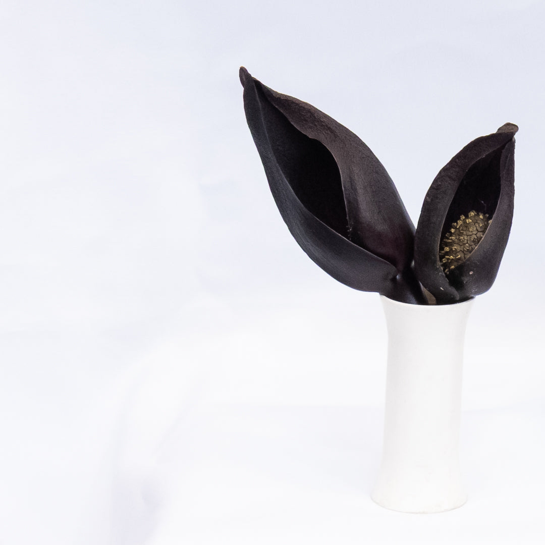 Symplocarpus foetidus